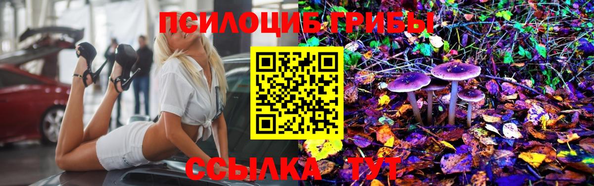 Псилоцибиновые грибы MAGIC MUSHROOMS Чехов