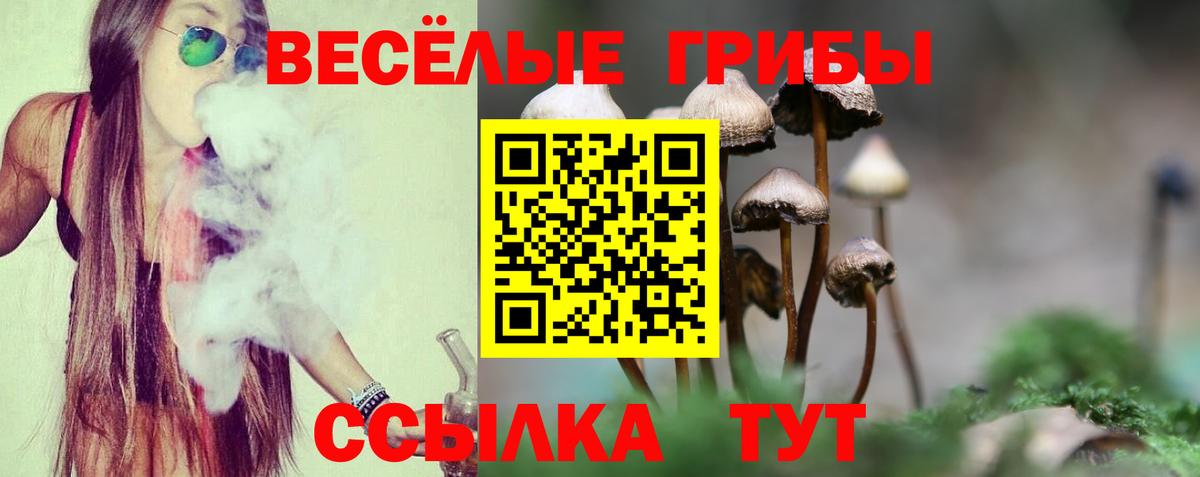 Чехов  Галлюциногенные грибы MAGIC MUSHROOMS  Вход с VPN 